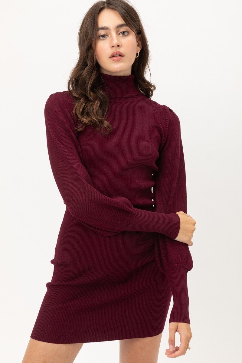 Turtle Neck Sweater Dress - A&A Haute Spot